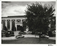 1956-2