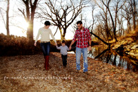 Families